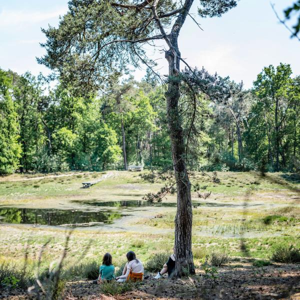 Treelodge - Verken de natuur rond Treelodge